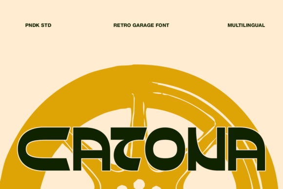 Catona Font for Bold Vintage Design