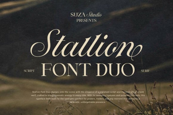 Stallion Duo Font for Creative Design